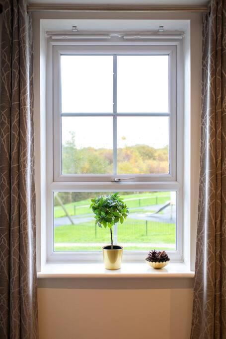 Beautiful & Luxurious - Free Parking, Wi-fi Holiday home